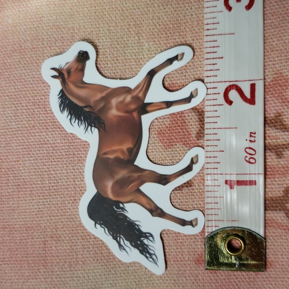 (A) Horse Sticker Pony Sticker Horse Ranch Horse Farm Country Cowgirl Horse Girl - Picture 2 of 4